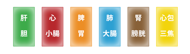 五臓六腑の表裏関係