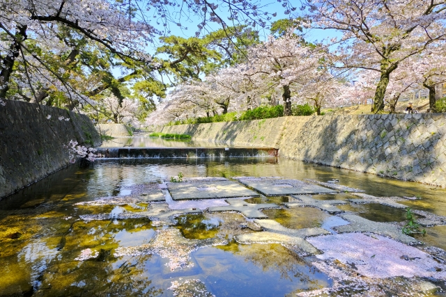 西宮・夙川・苦楽園エリアの街並みとリラクゼーションサロンのイメージ