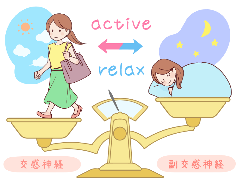 自律神経の働き|交感神経と副交感神経の違いを示す図解