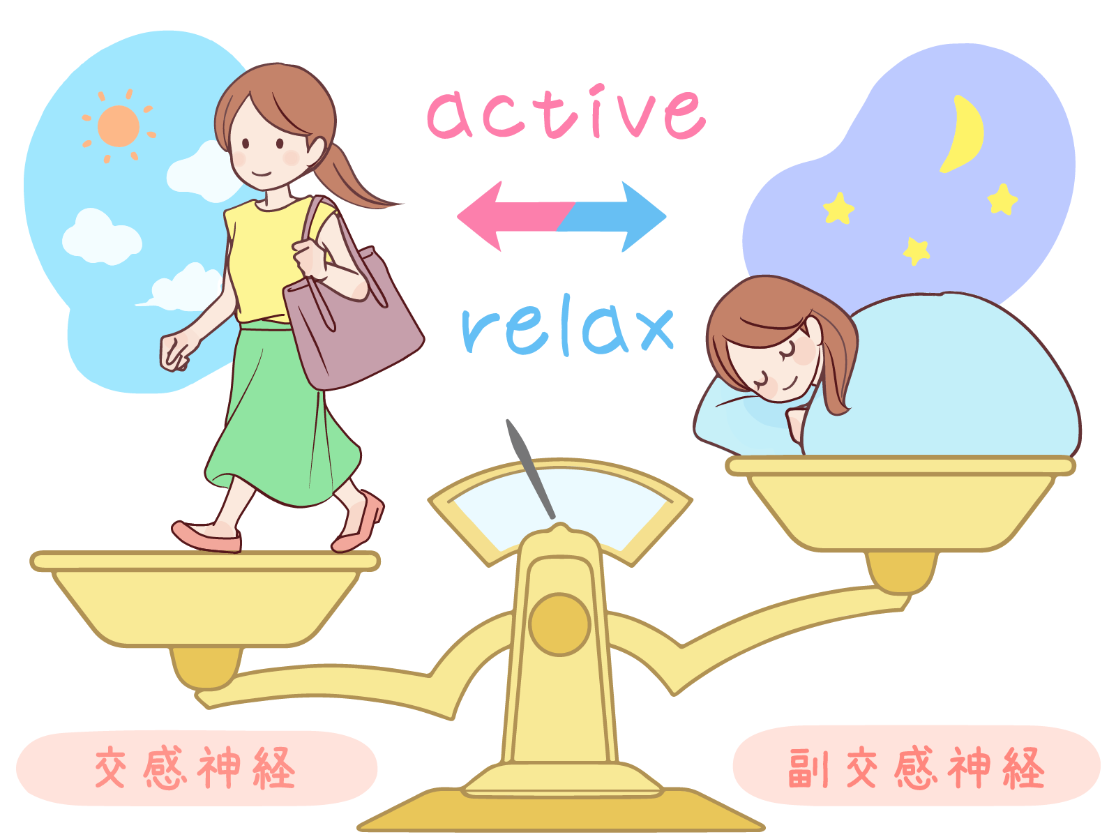 自律神経の働き｜交感神経と副交感神経の違いを示す図解