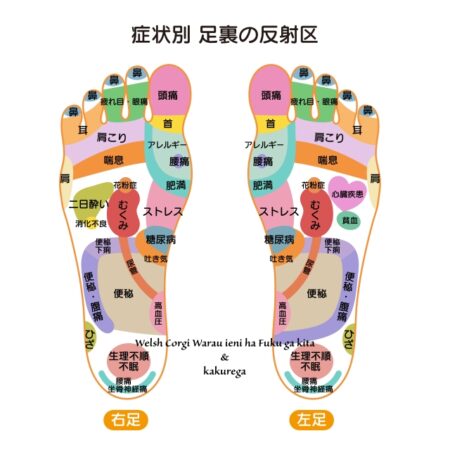 反射区
