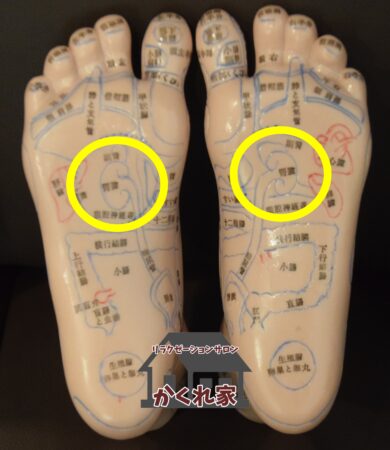 土踏まずのやや上にある腹腔神経叢(太陽神経叢)