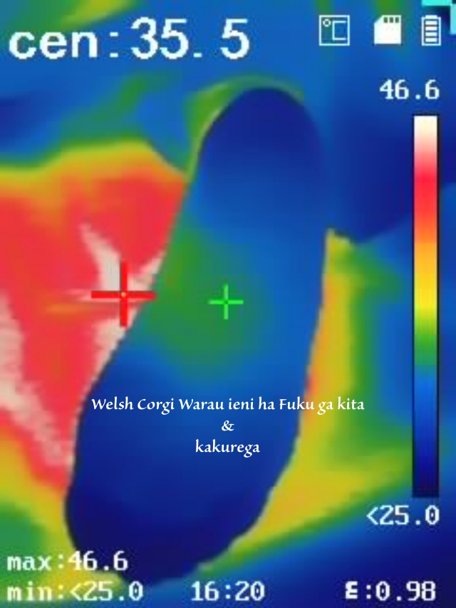 40代女性のT様の足