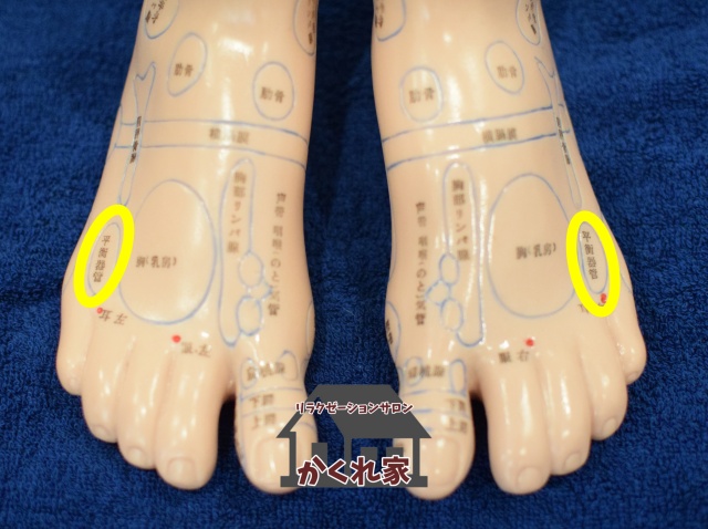 三半規管の反射区