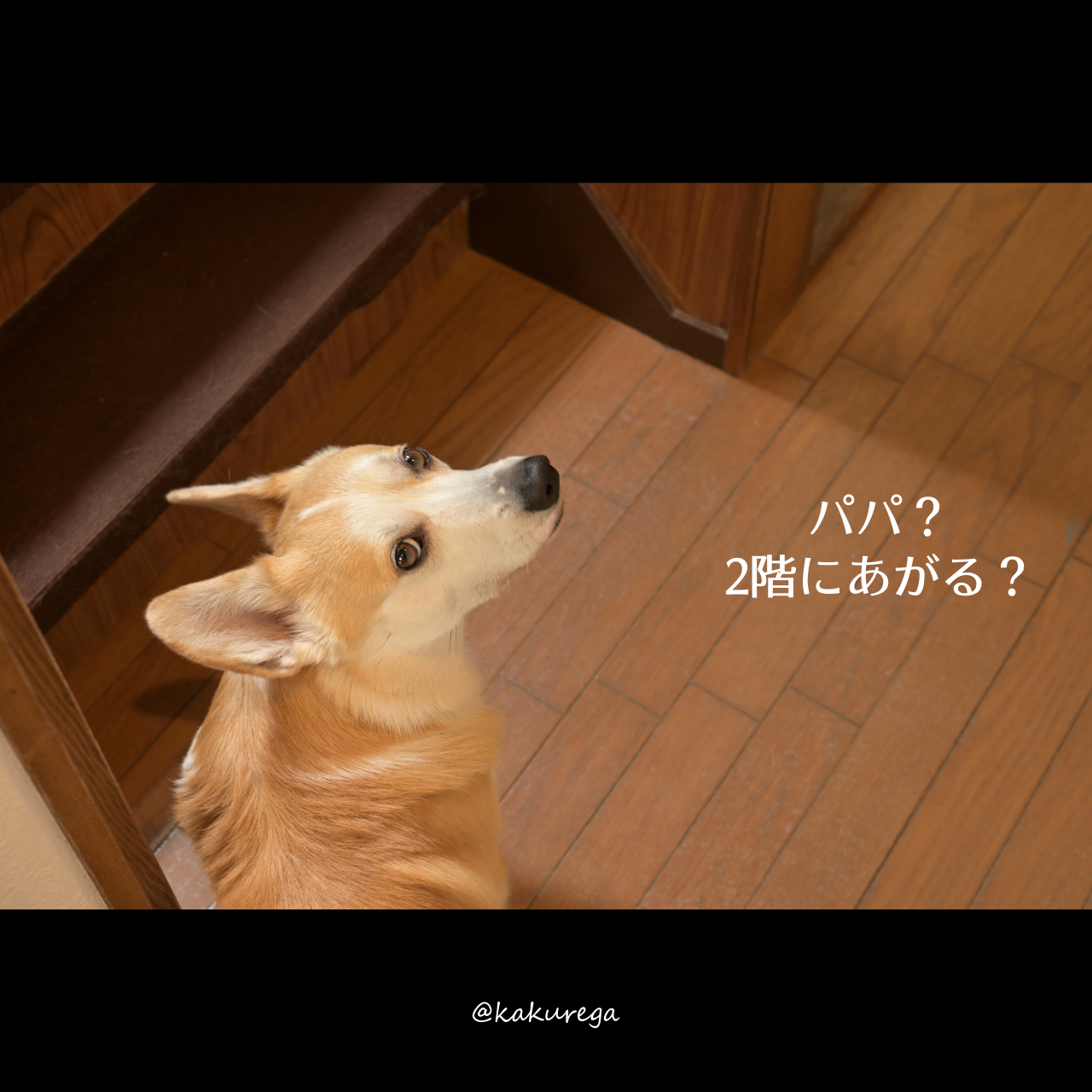 2階に上がる?