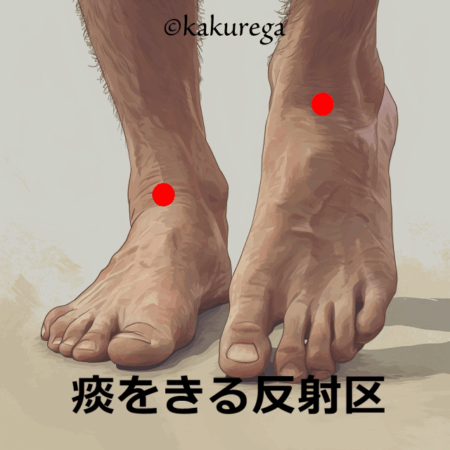 痰切りの反射区