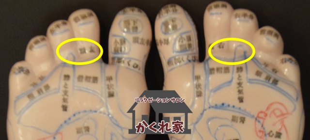 眼の反射区
