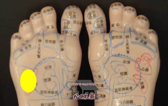 肝臓の反射区