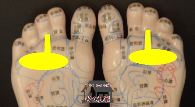 肺・気管支の反射区