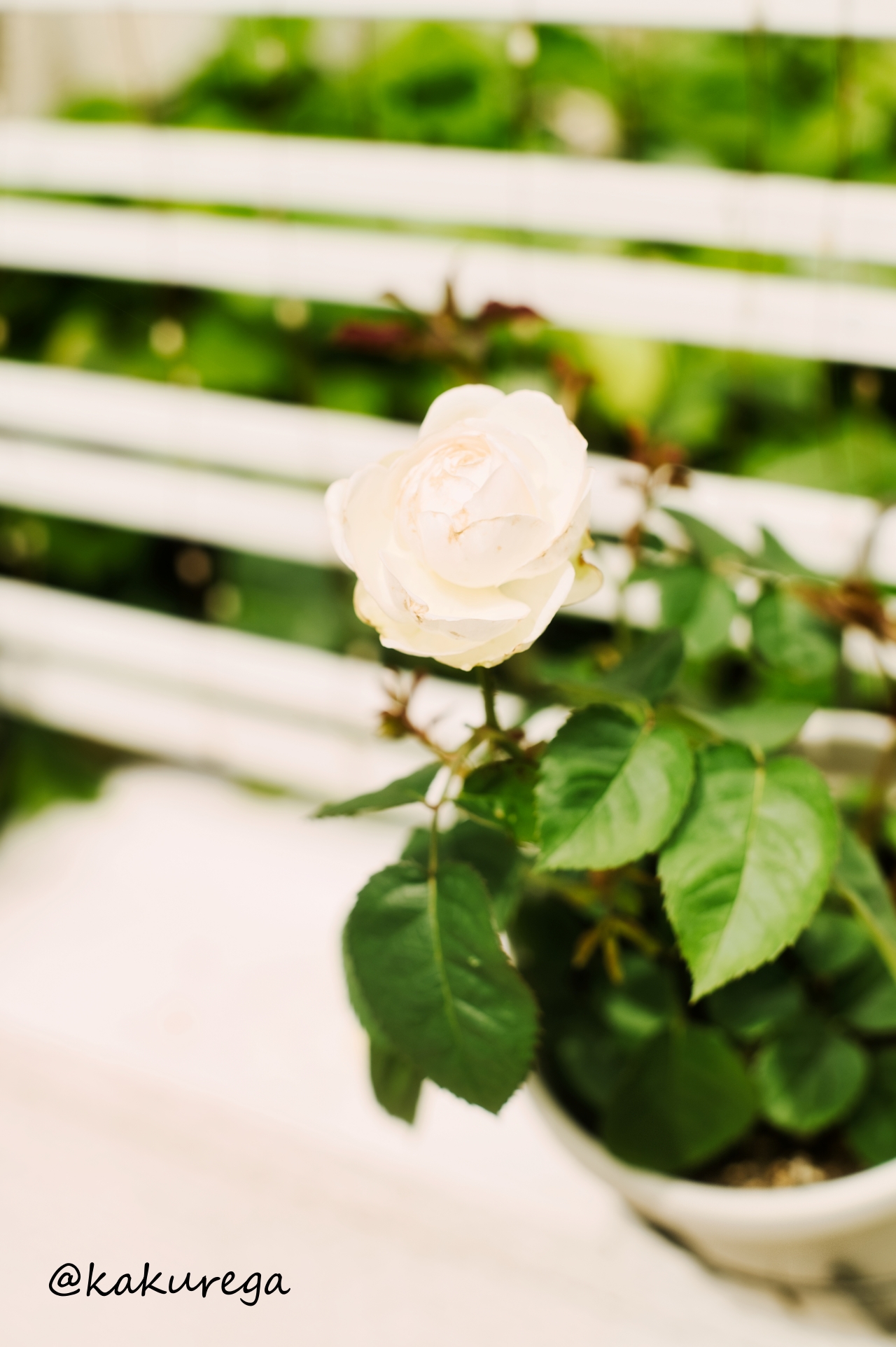 ぐちならいつでも聞きますよ