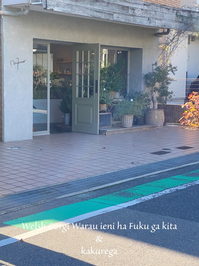 優しいお花が並ぶりりののさん