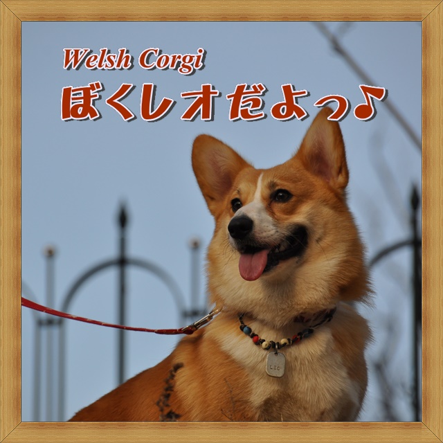 あとがきのはじまり。