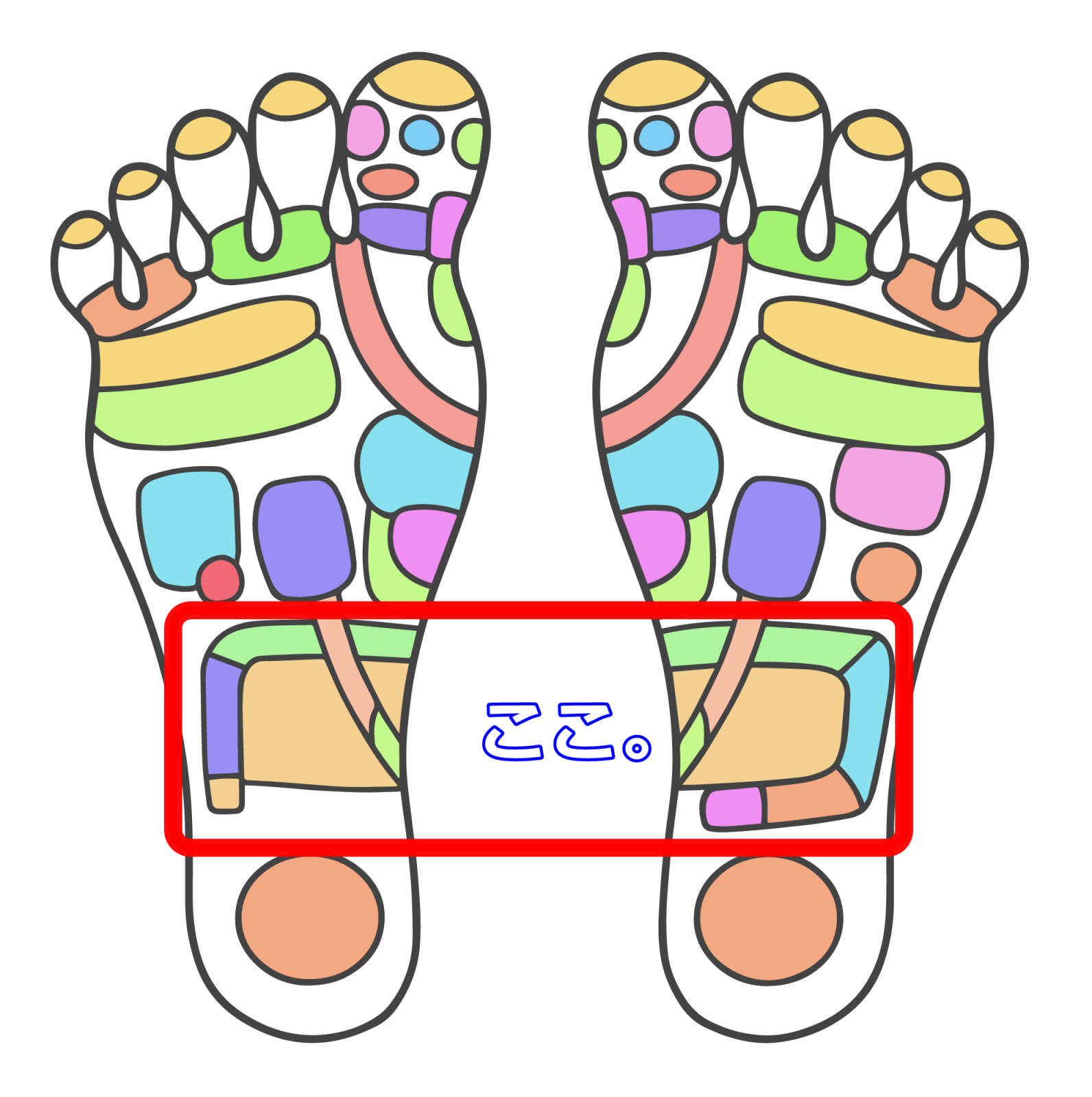 この反射区から