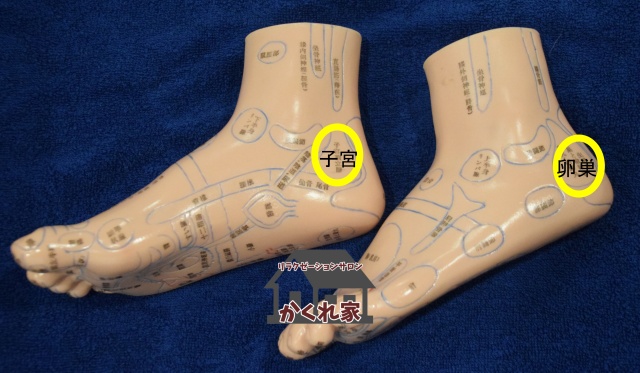 子宮・卵巣の反射区