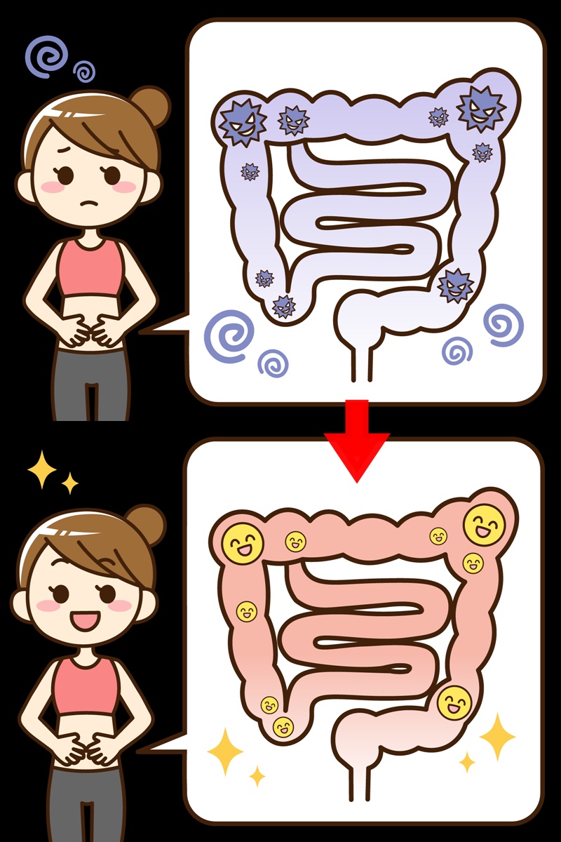 腸内改善