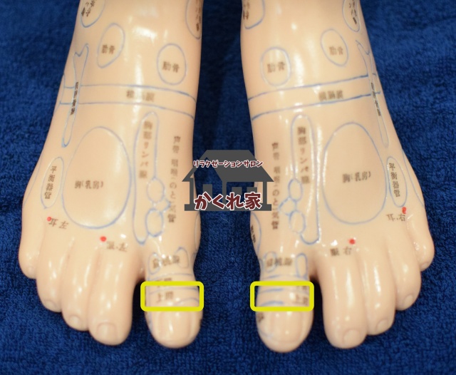 顎関節の反射区