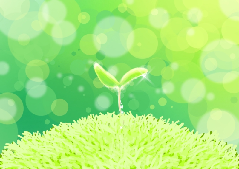 木の芽時(このめどき）に気をつけて。