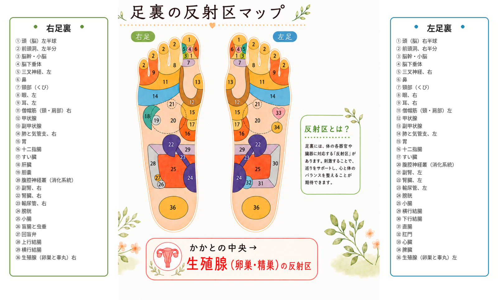 かかとの反射区