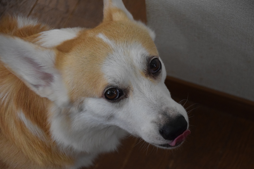 おかえりー。