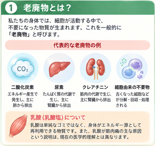 老廃物の意味と代表的な物質を示す図