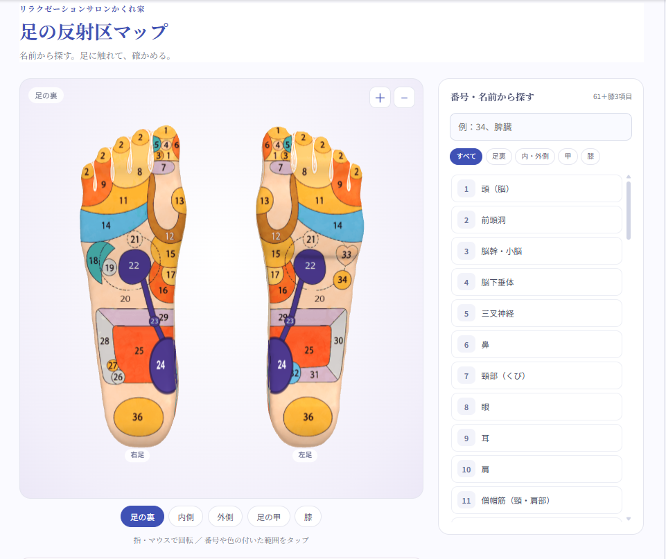 3D反射区マップ
