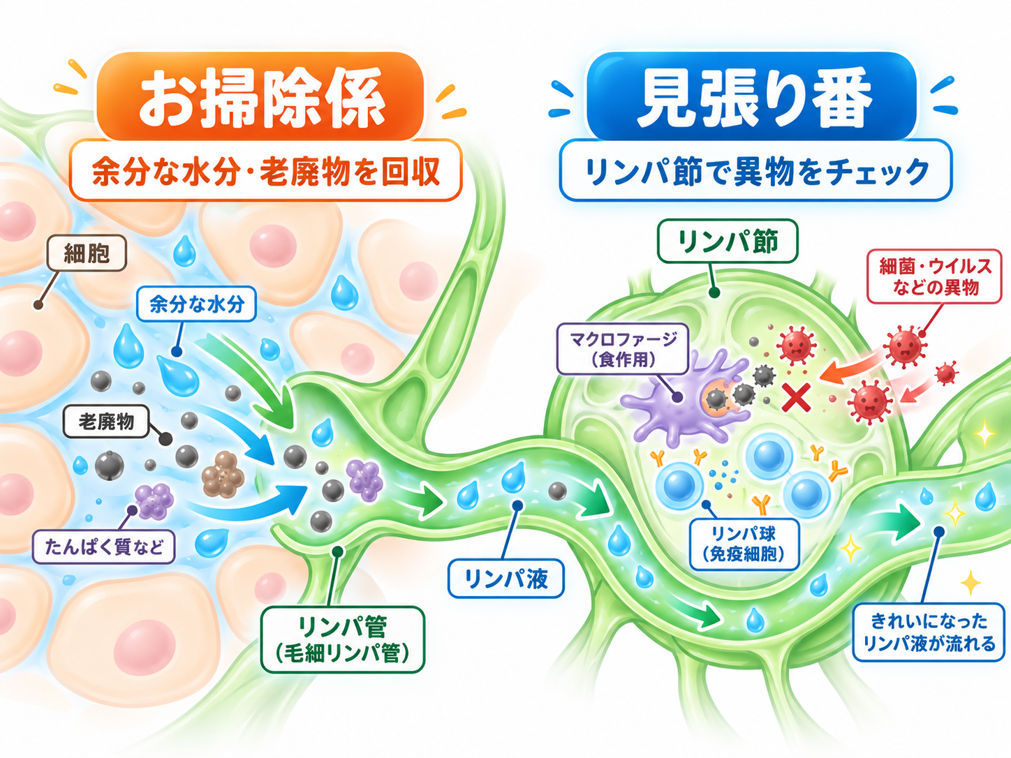 お掃除係と見張り番のイメージイラスト